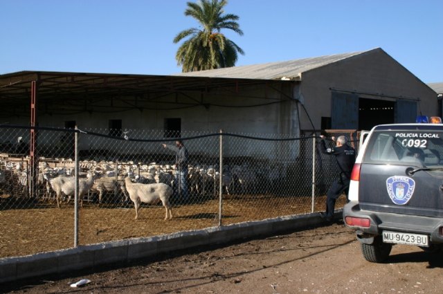 Declaración responsable para el desplazamiento justificado del cuidado o atención de animales