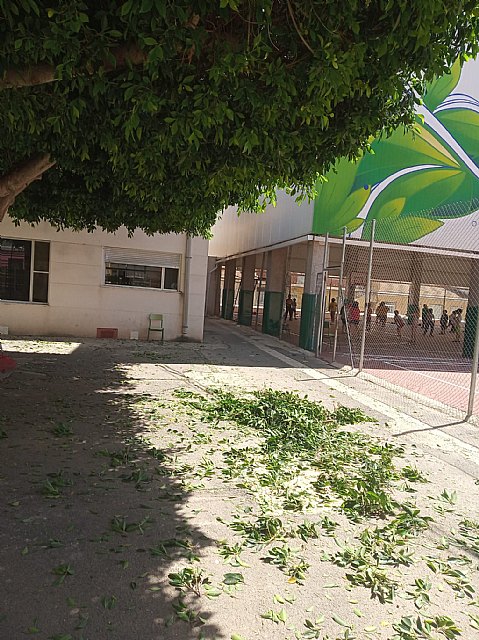 Brigada municipal: trabajos del 20 y 21 de mayo