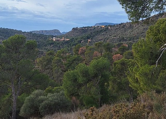 El PSOE de Totana denuncia la falta de compromiso del PP en la prevención de incendios en Sierra Espuña