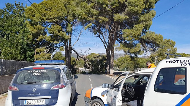 Cortada la carretera de la Santa a la altura de La Venta los Pinos por la caída de ramas de un árbol