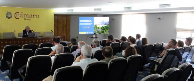 La CHS aborda la sostenibilidad del regadío en la cuenca del Segura dentro del proceso participativo del Plan Hidrológico 2028-2033