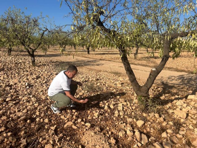 El PSOE exige al Gobierno regional ayudas directas inmediatas para los agricultores afectados por las tormentas y un seguro agrario adaptado a la realidad climática