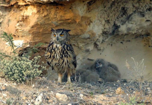 Medio Ambiente ofrece su 'Mochila de Actividades' para disfrutar de la naturaleza este fin de semana