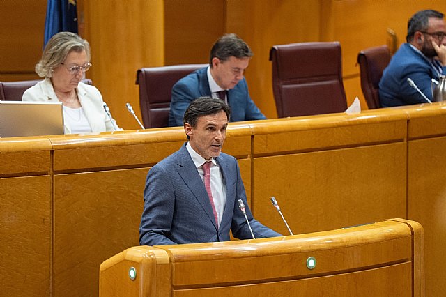 El Gobierno regional presenta en el Senado su nuevo modelo de ´vivienda asequible´ como alternativa a la ley estatal