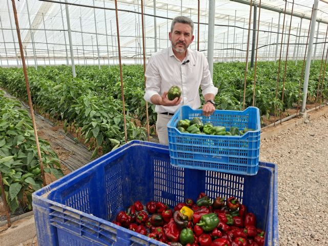 Antonio Luengo exige al Gobierno de Pedro Sánchez medidas urgentes ante el sobrecoste 'inasumible' que sufre el campo de la Región