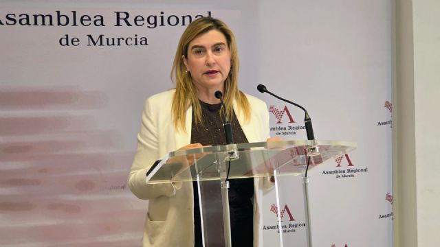 Carmina Fernández: “La hipocresía y amnesia del PP no tiene límites, solo defienden la formación de mayorías alternativas cuando es para gobernar ellos”