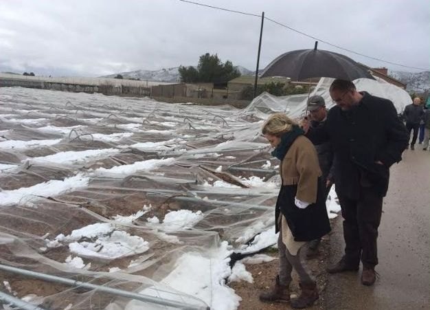 La Alcaldía eleva una moción solidarizándose con los agricultores afectados por el temporal de frío polar