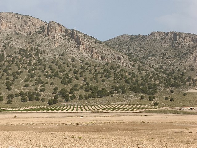 Las ayudas para explotaciones agrícolas en zonas de montaña y en zonas con limitaciones naturales alcanzan los 6 millones
