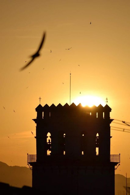 'Los vencejos pueblan el cielo de nuestra plaza'