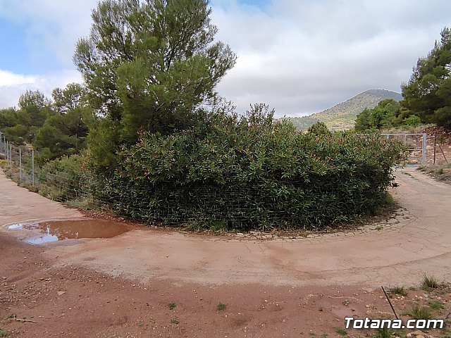 Denuncian ante la CHS el vallado del barranco de Enmedio en el Purgatorio (Sierra Espuña)