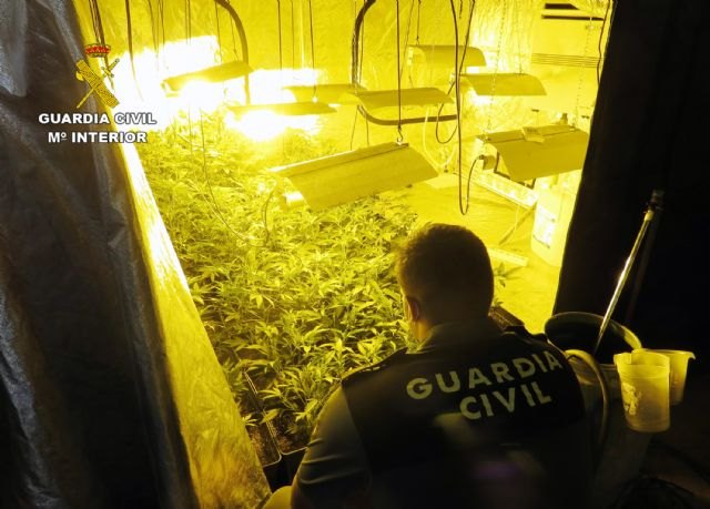 La Guardia Civil detiene a un vecino de Totana que ocultaba una plantación de marihuana en un establecimiento de compra-venta de coches usados