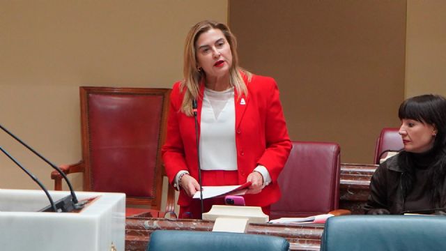 Carmina Fernández: “El Santa Lucía es la imagen perfecta del modelo de sanidad del PP, quemada por fuera y problemas por dentro”