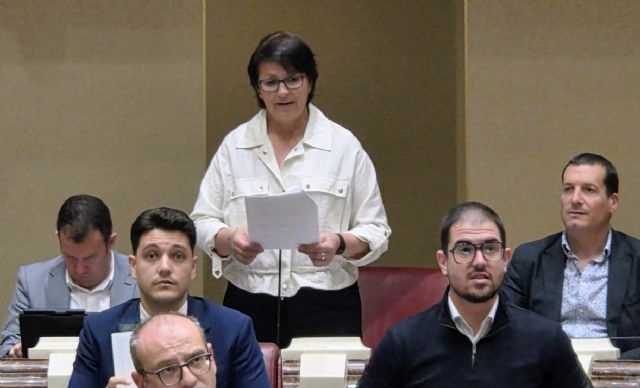 El PSOE exige al Gobierno regional que lleve a cabo las actuaciones necesarias para garantizar la accesibilidad en todos los centros educativos