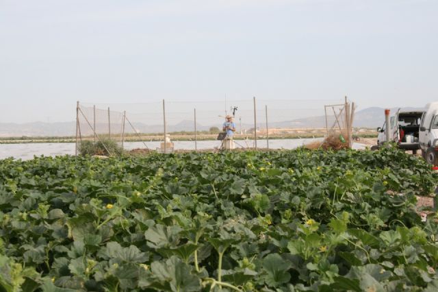El sistema de información agrario bate récord con casi 7,5 millones de visitas y se consolida como pilar tecnológico de la eficiencia hídrica