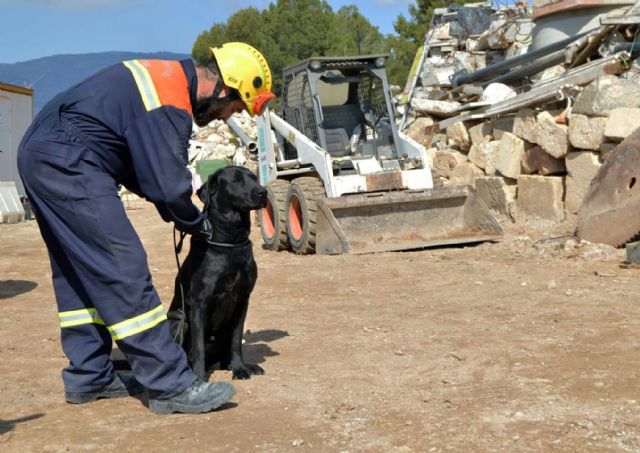 La Unidad Canina de Protección Civil en Totana participa en las III Jornadas Cinológicas de Búsqueda, Rescate y Detección
