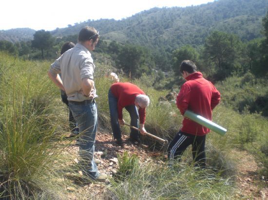 Implantarán la iniciativa denominada 'Un árbol por cada niñ@ que nazca en Totana'