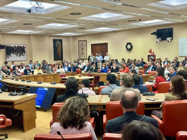 La Comunidad expone en el Congreso sus líneas de impulso al tejido cultural de la Región