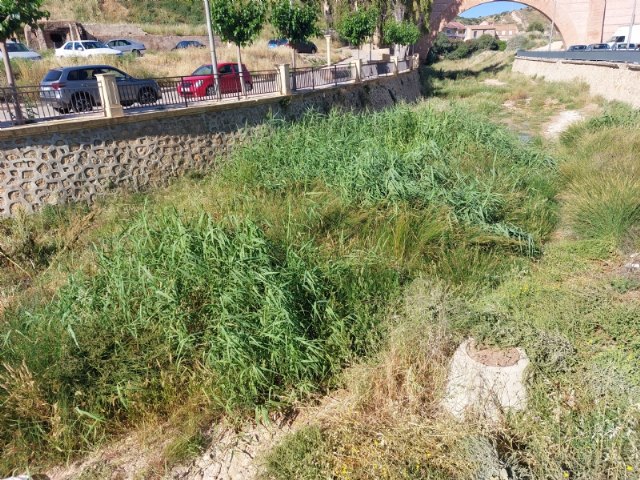 El Ayuntamiento solicita a la Confederación Hidrográfica del Segura que proceda a la fumigación y limpieza del río Guadalentín y ramblas