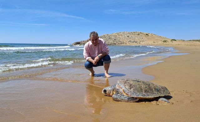 La primera tortuga boba atendida este a&ntilde;o en Centro de Recuperación de Fauna Silvestre regresa al mar en Calblanque
