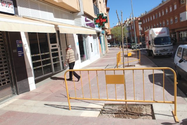 Plantan unas 40 moreras para sustituir otro arbolado seco o podrido en la urbanización 'El Parral'
