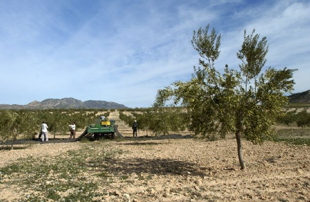 El Gobierno regional abona más de 80 millones de euros en ayudas de la PAC para reforzar la renta del sector agrario