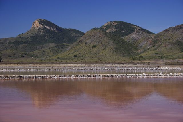 Medio Ambiente desarrolla un tratamiento biológico para dípteros en Las Salinas del Rasall