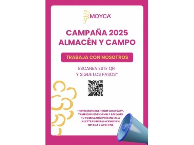 Moyca digitaliza el proceso de contratación para la campaña de uva en la que espera contratar a más de 8.000 personas