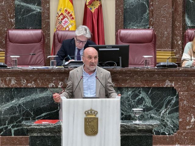 IU-Verdes defiende mantener el impuesto al plástico y apuesta por reducir su producción: 'La propuesta del PP va contra el medio ambiente y el cambio debe ser reducir el consumo'