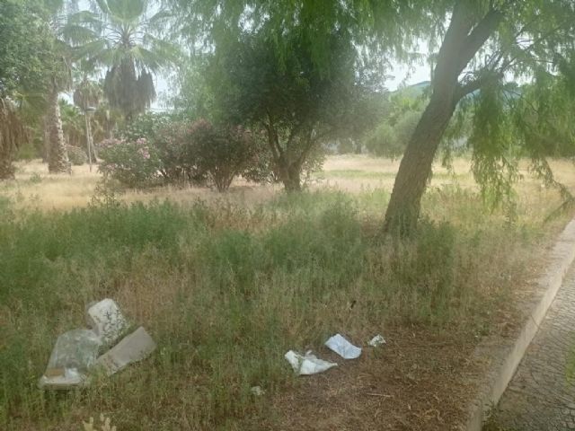 'El abandono de las tareas de mantenimiento por parte del gobierno local provoca la degradación de numerosos espacios urbanos de Totana'