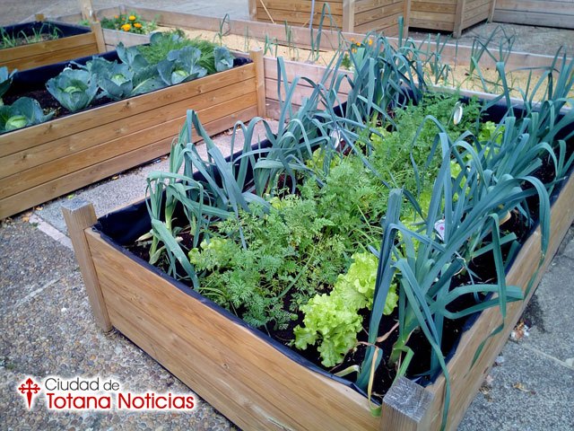 Los huertos urbanos toman las ciudades