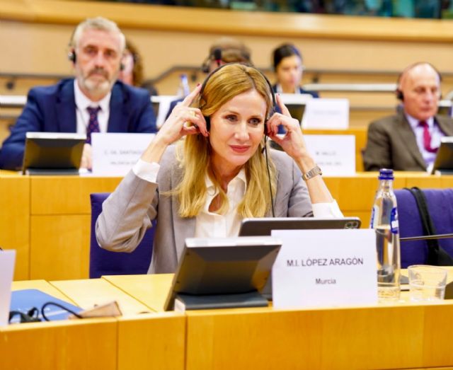La Región reivindica en el Parlamento Europeo una Política de Cohesión con participación real de las regiones
