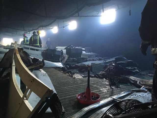 La Policía Local participa en el dispositivo de seguridad y emergencias del incendio en un cebadero de Totana en el que han muerto 700 lechones