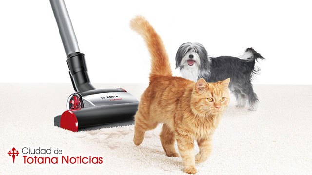 Los mejores productos para acabar con el pelo de las mascotas en casa