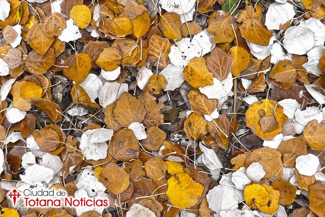 ¿Cómo se espera este mes de octubre?