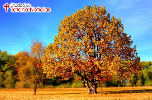 Previsión estacional ¿Cómo será el otoño 2016?