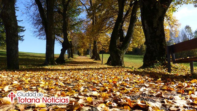 ¿Cómo será noviembre?