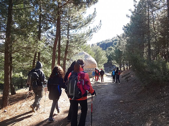 El club senderista de Totana celebró el 'Día del árbol'