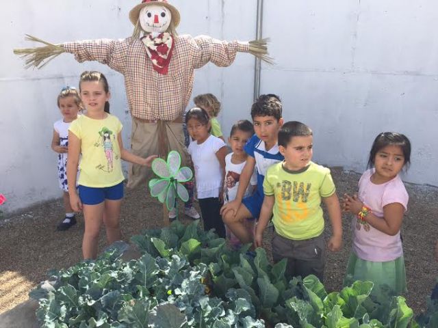 La comunidad educativa del CEIP 'La Cruz' pone en marcha el proyecto pedagógico 'Huerto Escolar Ecológico' recolectando su primera cosecha