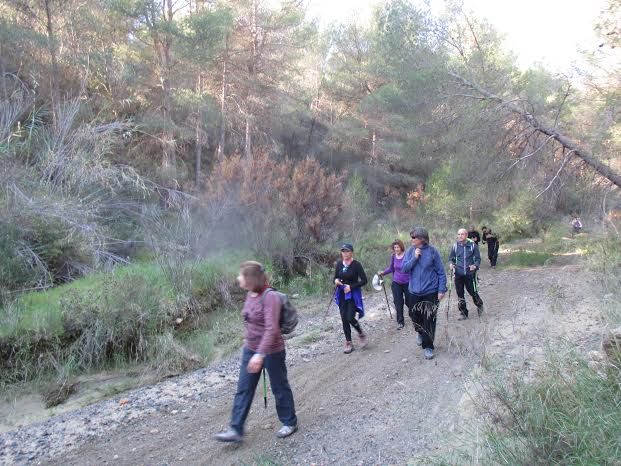 La Concejalía de Deportes cerró el año 2015 con una jornada de senderismo por la diputación de El Raiguero Bajo