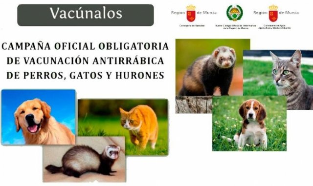 Comienza la campaña anual de vacunación antirrábica obligatoria para los animales de las especies canina, felina y hurones
