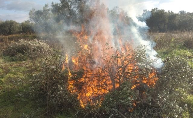 La Comunidad Autónoma prorroga hasta el próximo 28 de febrero la prohibición de quemar podas agrícolas para minimizar el impacto del COVID-19