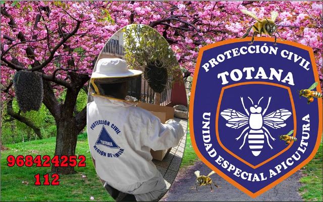 La Unidad de Apicultura de Protección Civil activa el dispositivo de recogida de enjambres de abejas, coincidiendo con la floración primaveral