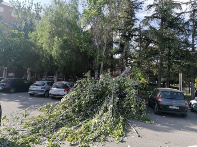 Se cierra y desaloja el parque municipal “Marcos Ortiz” por la caída de un árbol a consecuencia de los efectos del viento, que ha dañado dos vehículos