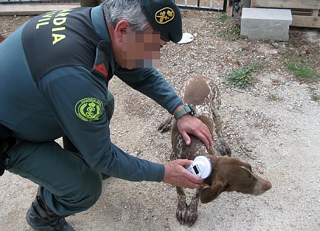 La Guardia Civil recupera un perro de caza sustraído en Totana