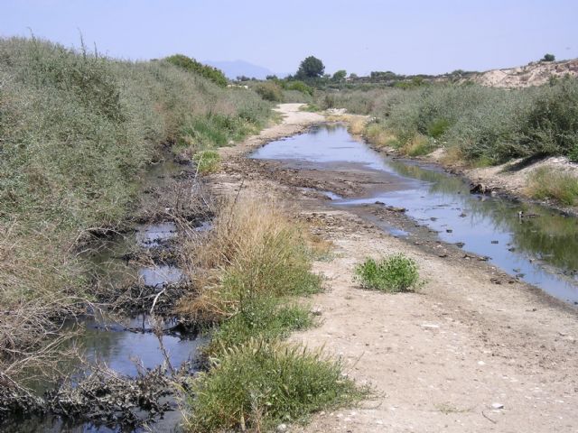 Se exigen medidas urgentes para prohibir el vertido temporal de aguas residuales urbanas o industriales en el río Guadalentín
