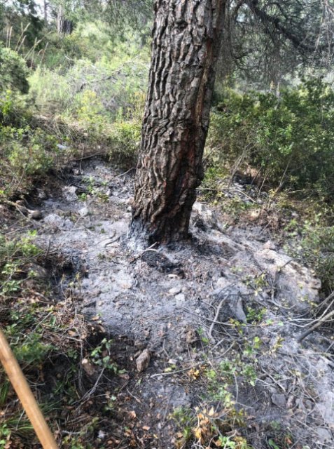 Efectivos del Plan Infomur se encuentran trabajando en un incendio forestal declarado en el paraje 'El Carretero', en Totana