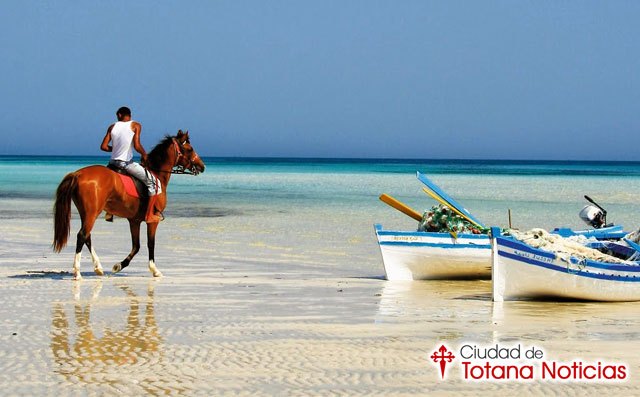 Guía práctica para viajar a Túnez