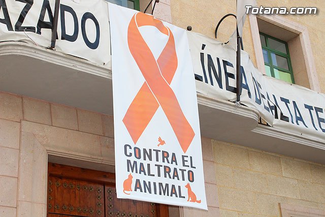 Totana conmemora hoy el Día Mundial de los Animales abogando por políticas contra el maltrato, con la colocación de un cartel con lazo naranja en la fachada consistorial