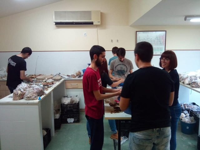 Miembros de la Asociación Kalathos trabajando en el laboratorio de arqueología, en la tercera planta del CTA