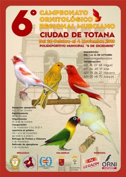Totana acoge hasta el próximo 4 de noviembre el 6° Campeonato Ornitológico Regional Murciano en el Pabellón 'Padres Capuchinos' del Polideportivo Municipal '6 de Diciembre'